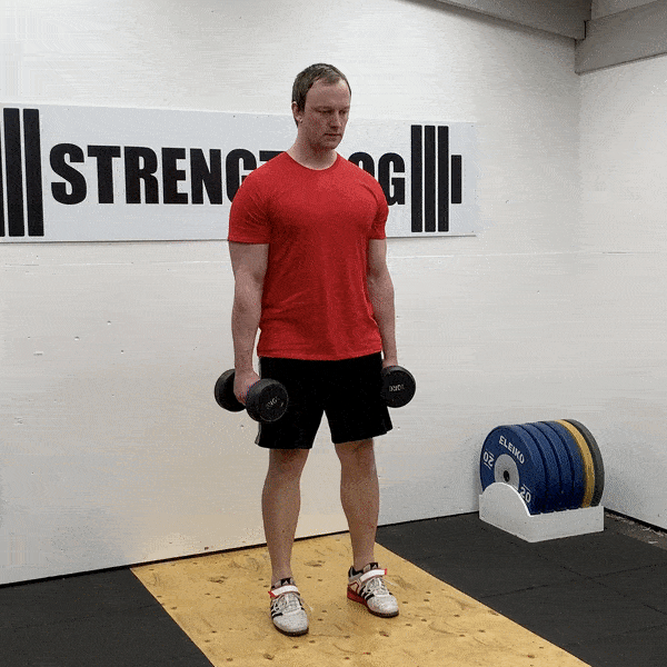 How to Do Dumbbell Squat: Muscles Worked & Proper Form – StrengthLog