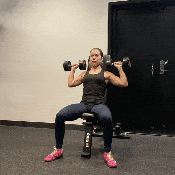 Seated Dumbbell Shoulder Press Muscles