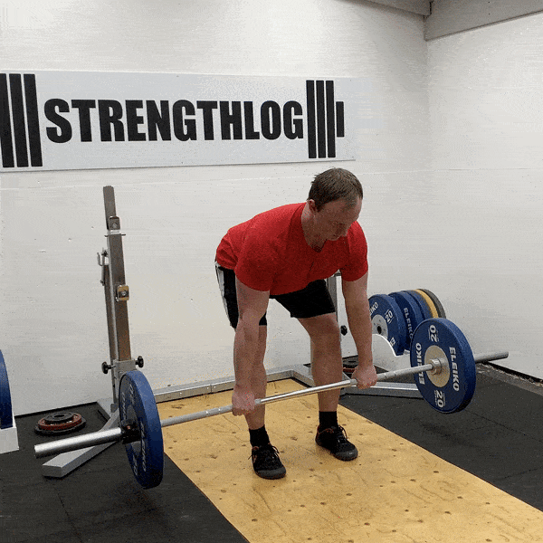 Dumbbell Bicep Workout for Strength & Mass – StrengthLog