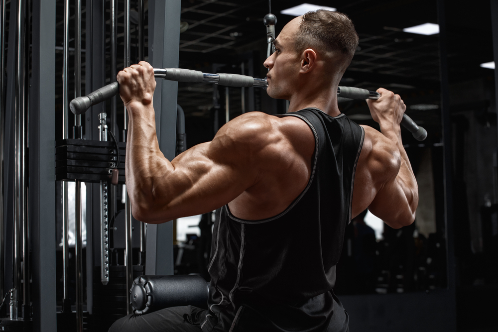 Exercises Development Muscles Hands Hardcore Gym Training Biceps
