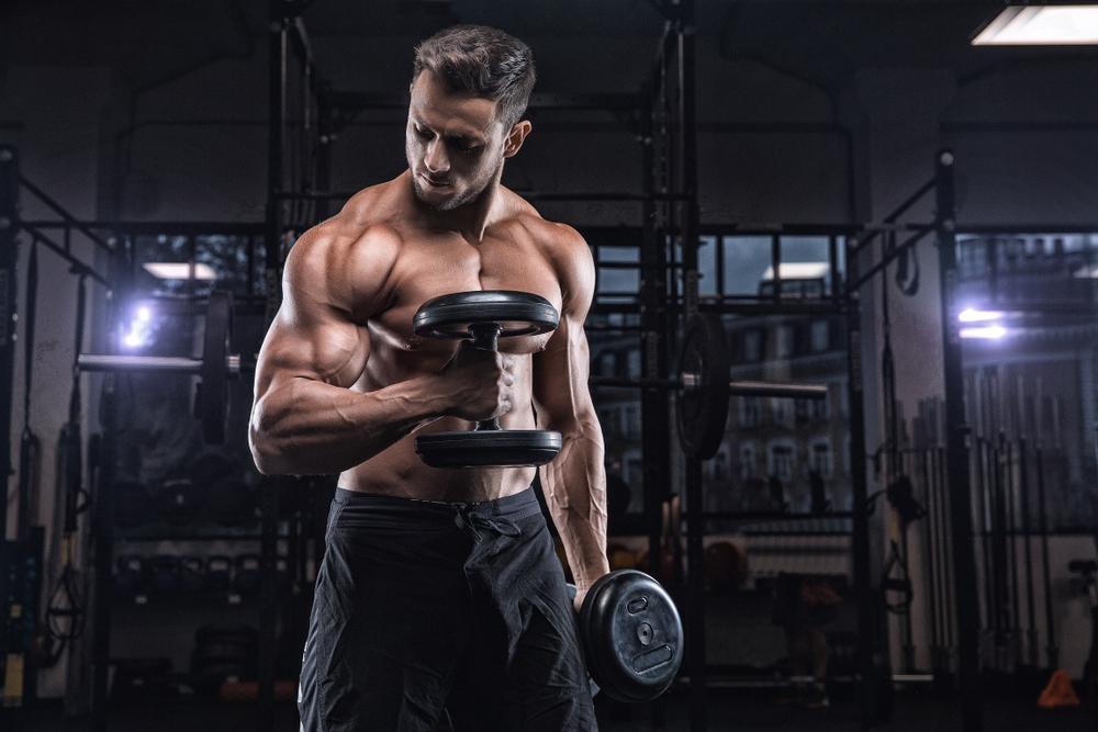 The 20 Best Back Exercises for Muscle & Strength – StrengthLog