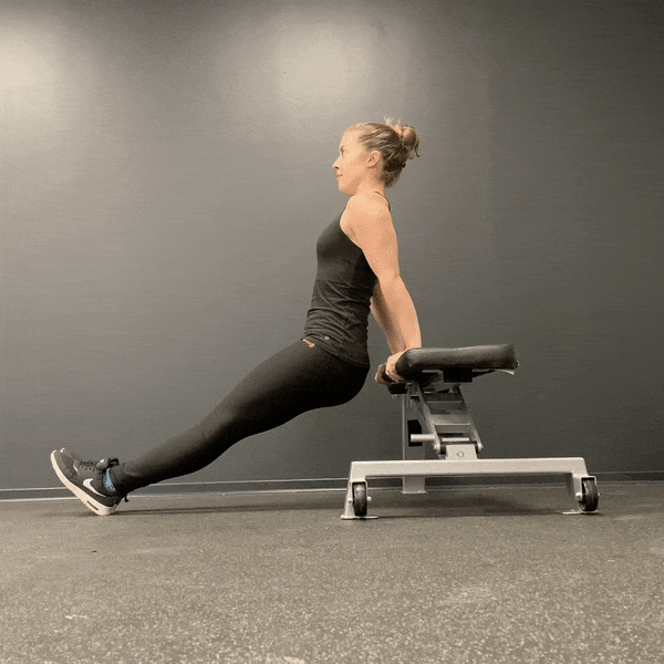dips exercise muscle groups
