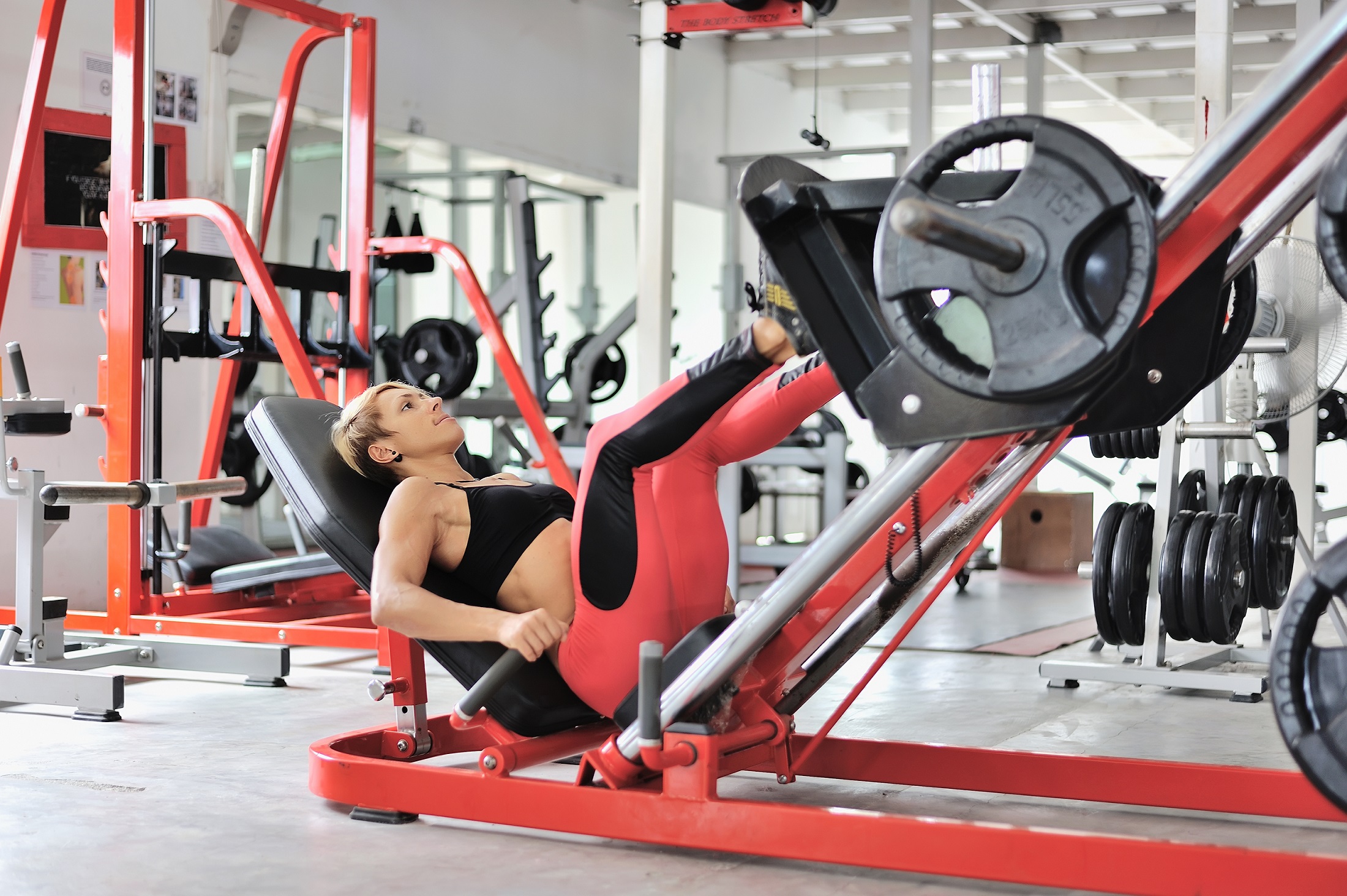 The 10 Best Leg Exercises for Muscle & Strength – StrengthLog