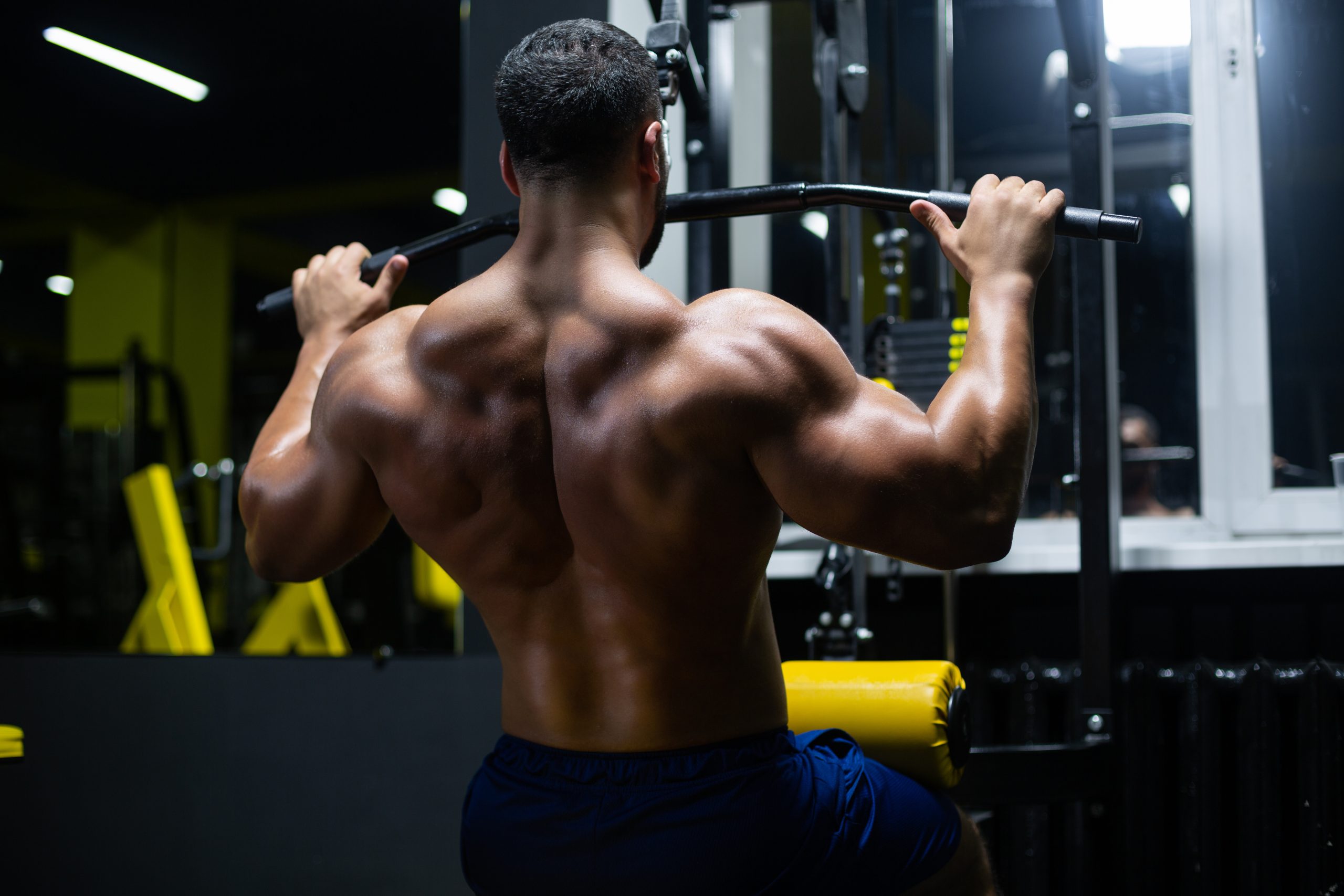 Bodybuilding Back Workout for Mass (6 Exercises) – StrengthLog